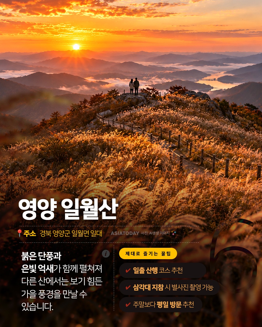 카드 뉴스 이미지