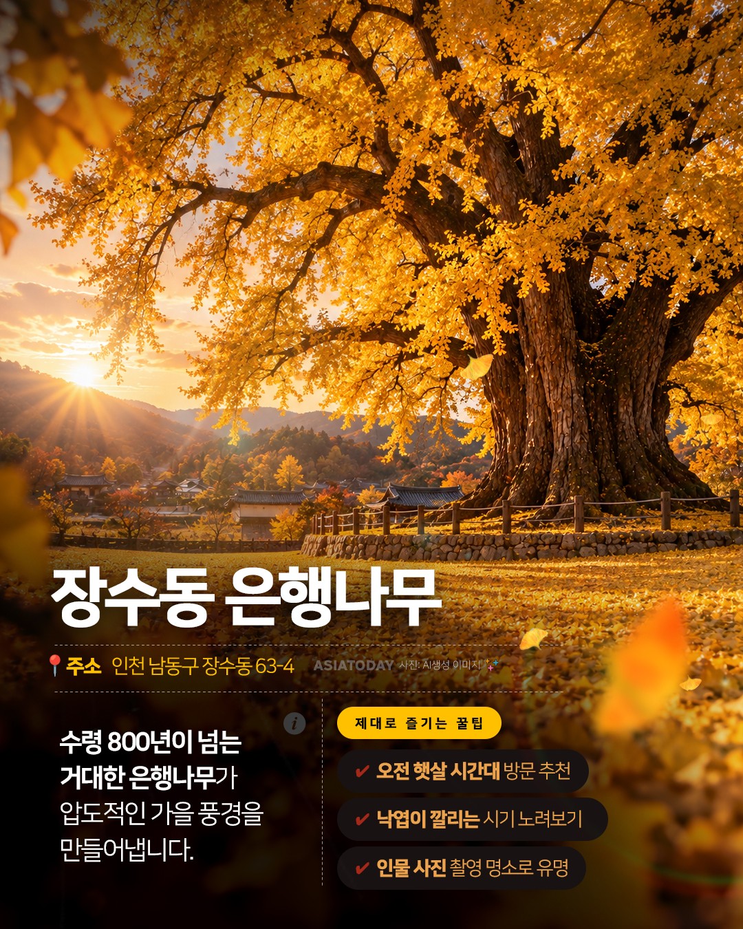 카드 뉴스 이미지