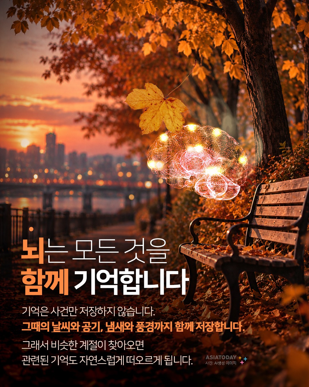 카드 뉴스 이미지