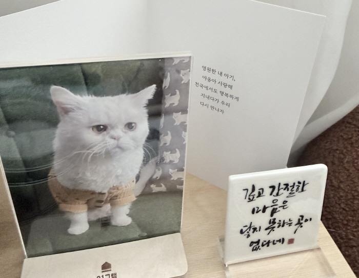 추모이미지