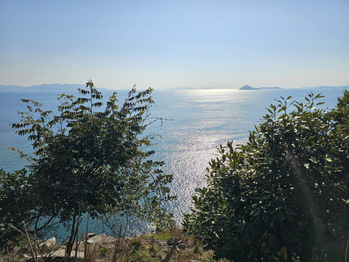 완도군