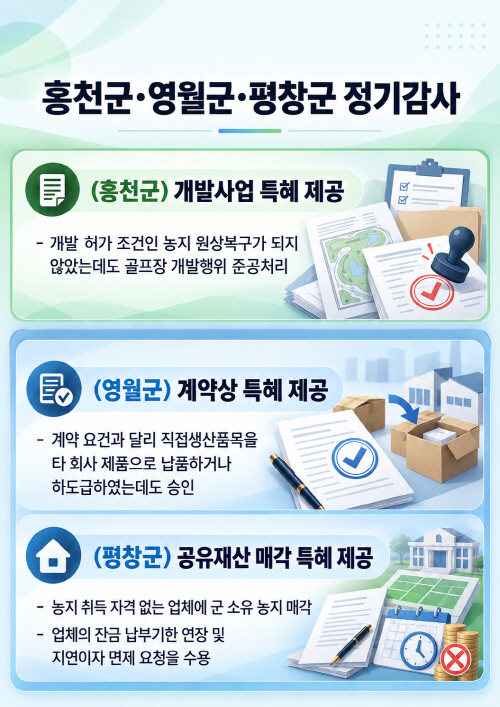 인포그래픽(홍천 영월 평창 정기감사)
