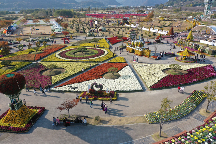 2025년 양산국화축제2