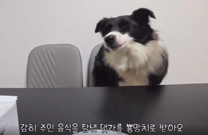 봉순