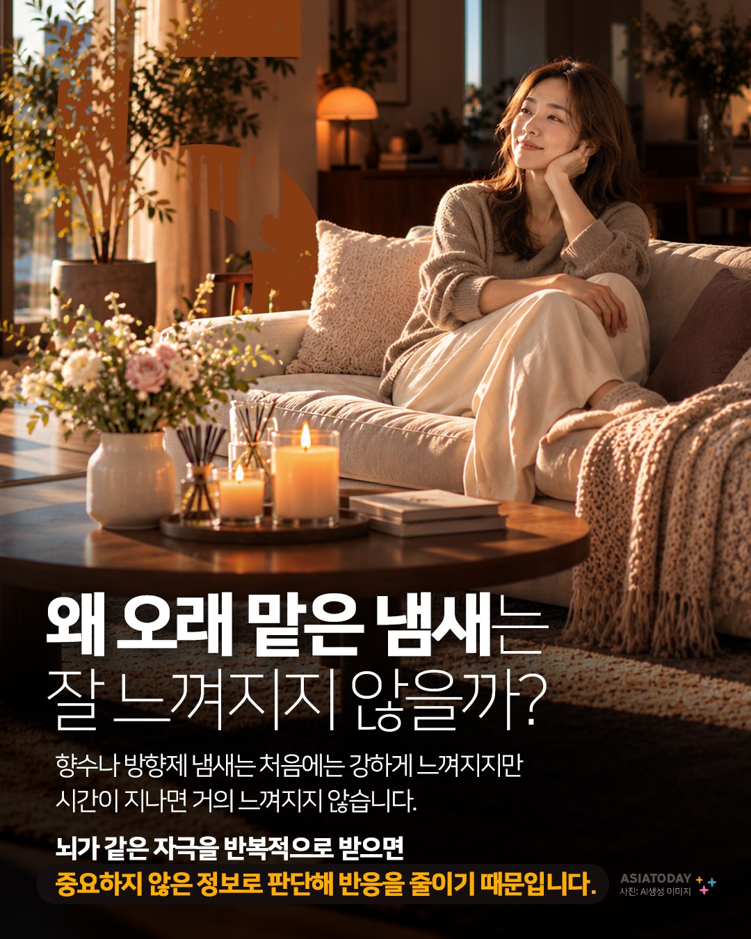 카드 뉴스 이미지