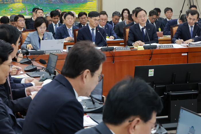 금감원 국감, 답변하는 이찬진 금감원장