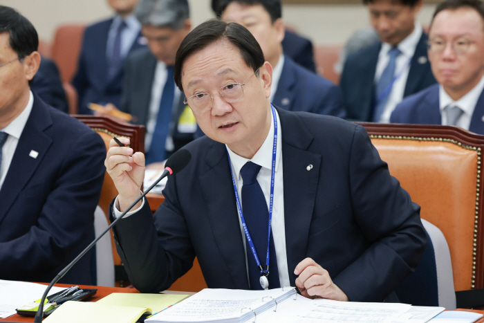 금감원 국정감사, 답변하는 이찬진 금감원장