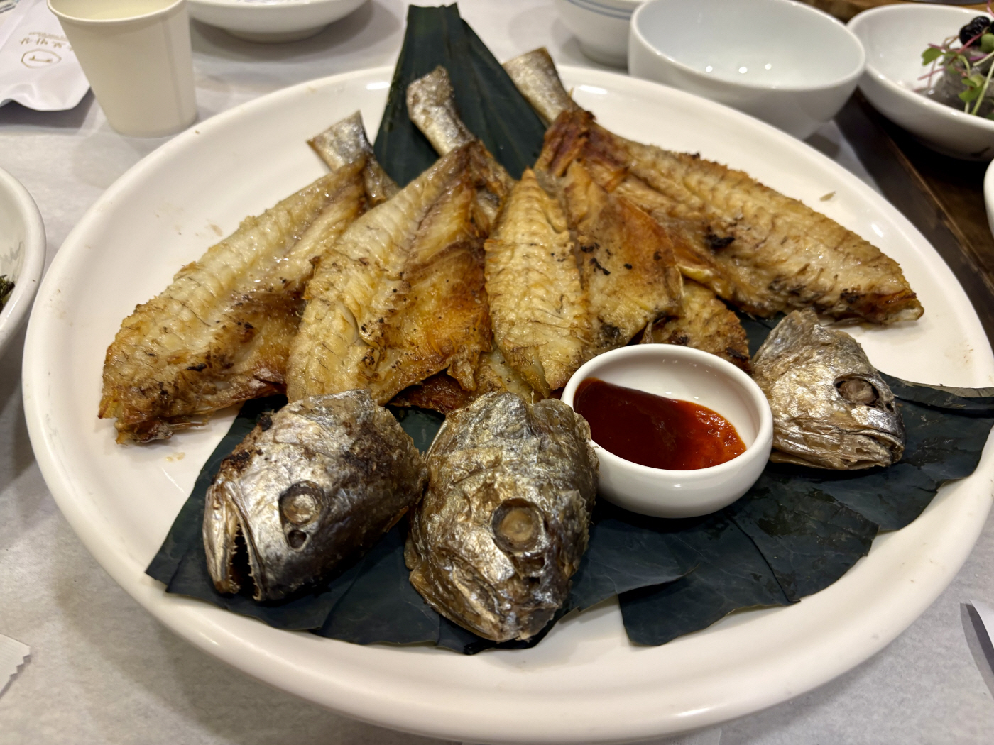 KakaoTalk_20261020_121902254
