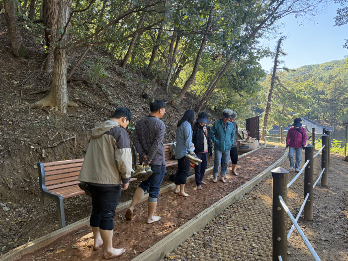 산림휴양과(성거산 등산로 정비-황톳길 걷는모습)