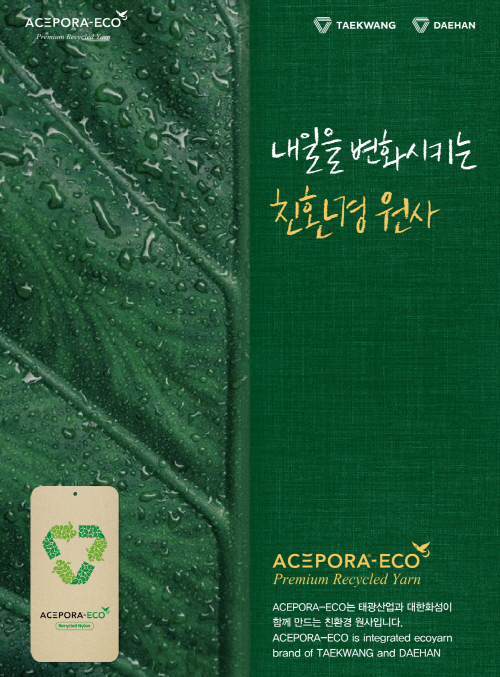 에이스포라 에코