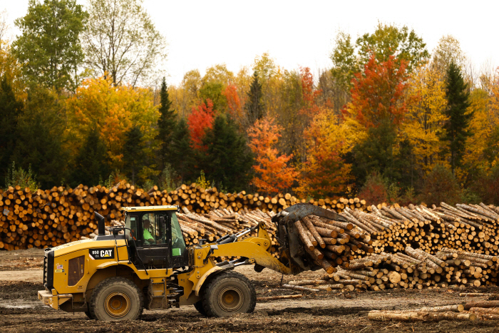 US-VOTE-CANADA-POLITICS-ECONOMY-WOOD