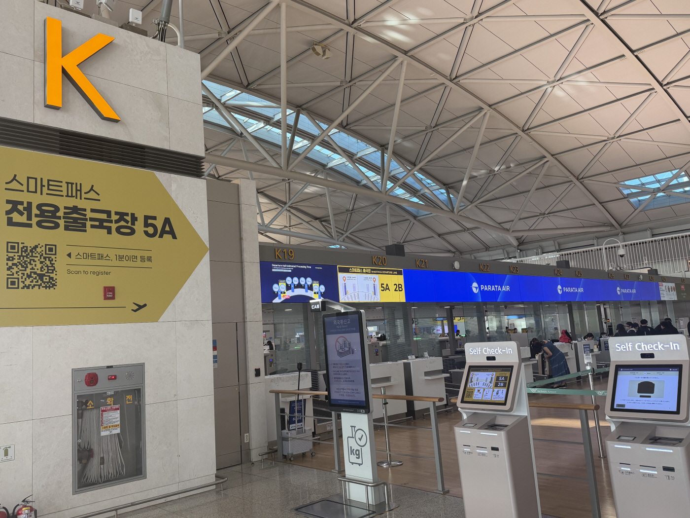 파라타항공