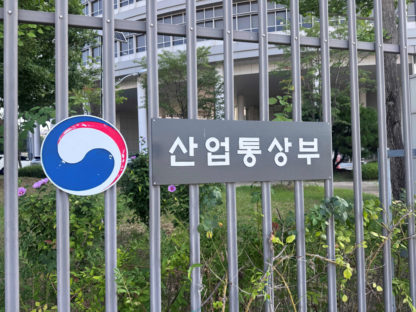김소영 기자