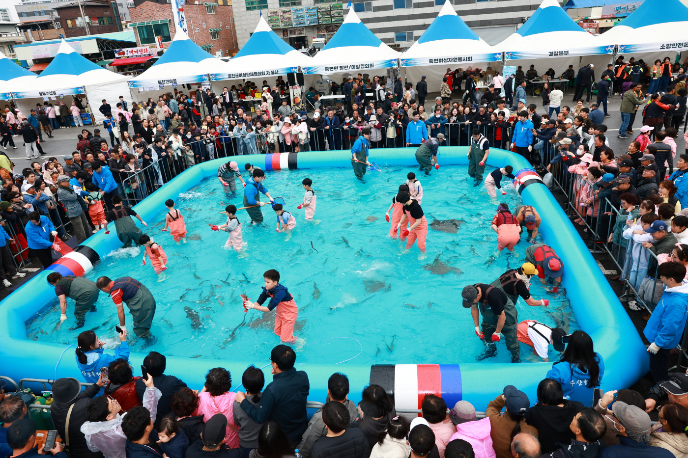 죽변항수산물축제_맨손잡기 (1)_울진군청제공