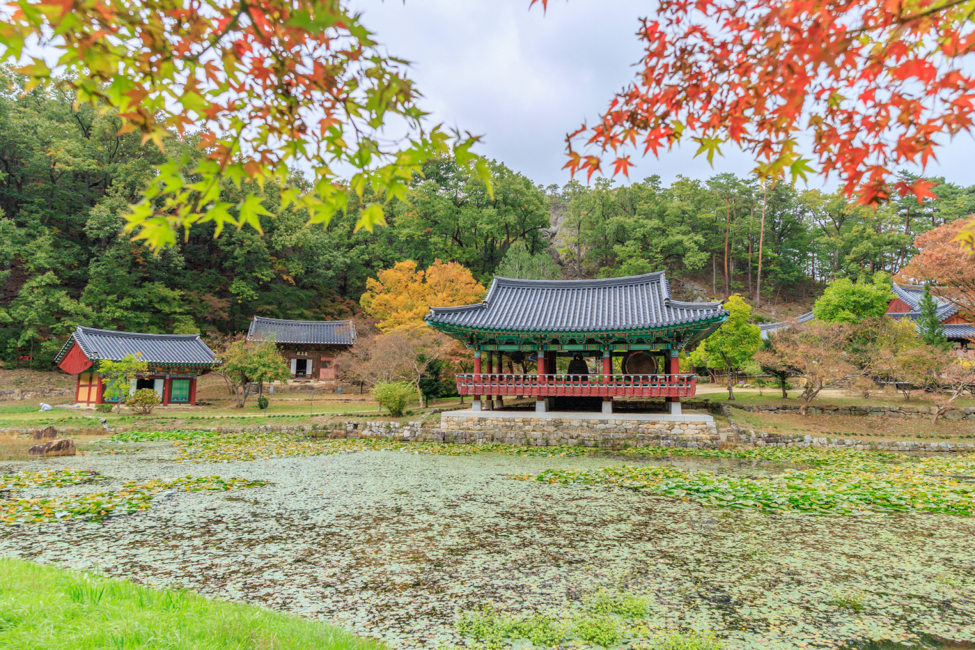 울진_불영사_20261023_105_resize
