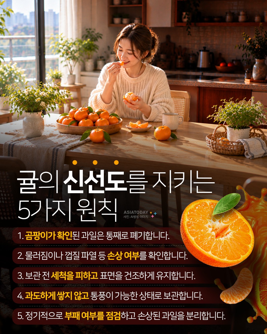카드 뉴스 이미지