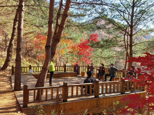 8. 삼척 활기 치유의 숲 (1)