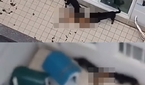 맹견 2마리에 물어뜯기는 셰퍼드… 충격 영상 퍼졌는데 주..