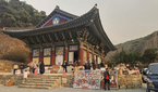 화마에 무너진 의성 고운사 ...조계종 교구본사 전소 ‘..