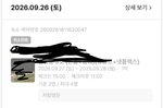 “5분간 퍽퍽” 보령 애견동반 글램핑장서 고양이 폭행·사..