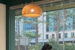 방탄소년단 진 친형, 강남에 카페 개업