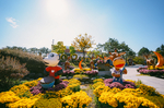 익산 천만송이 국화축제 개막…보석 빛깔로 물든 가을